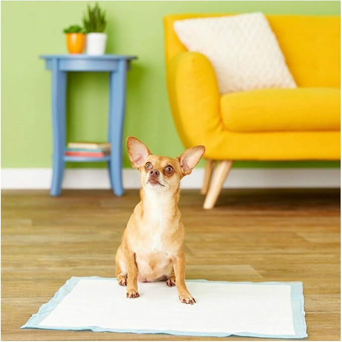 Four Paws Wee-Wee Pads for Dogs, 22x23 Inch, 200 Count, 2 Pack