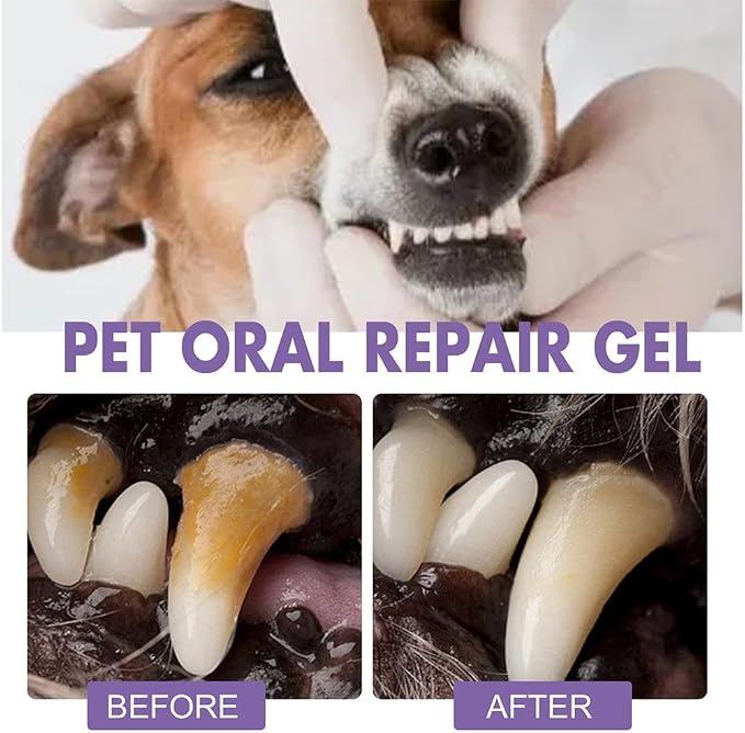 Wmool Lettuce Pets - Lettuce Pets Toothbrush, Lettuce Pets Dog Toothbrush, Lettuce Pets Oral Repair Gel, Lettuce Pets Dog Grooming Set, Pet Breath Freshener Gel Care Cleaner for Dog Cats