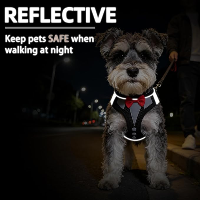 PUPTECK Dog Harness and Leash Set for Small Medium Dogs No Pull Step-in Soft Mesh Puppy Cat Vest Harnesses Reflective at Night, Black Bow Tie