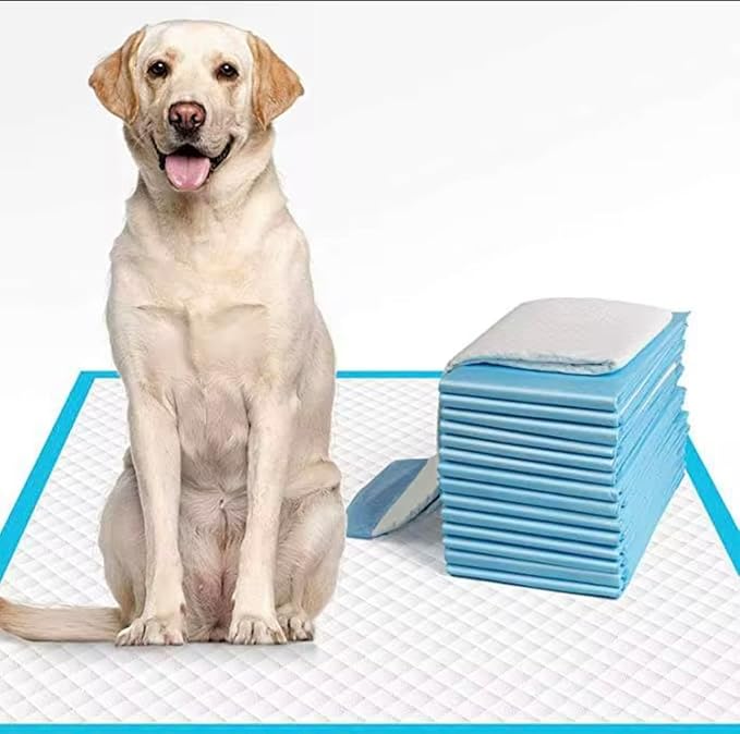Super-Absorbent Pet Training Pads, Leak-Proof Design, 24-Hour Protection, Thickening Material (Extra Large, 20, 60x90)
