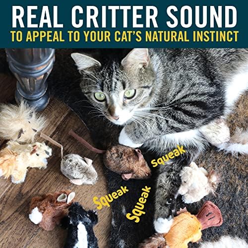 OurPets Play-N-Squeak Mouse Hunter Cat Toys with Catnip | Interactive Toy with Real Mouse Electronic Sound, for Indoor Cats