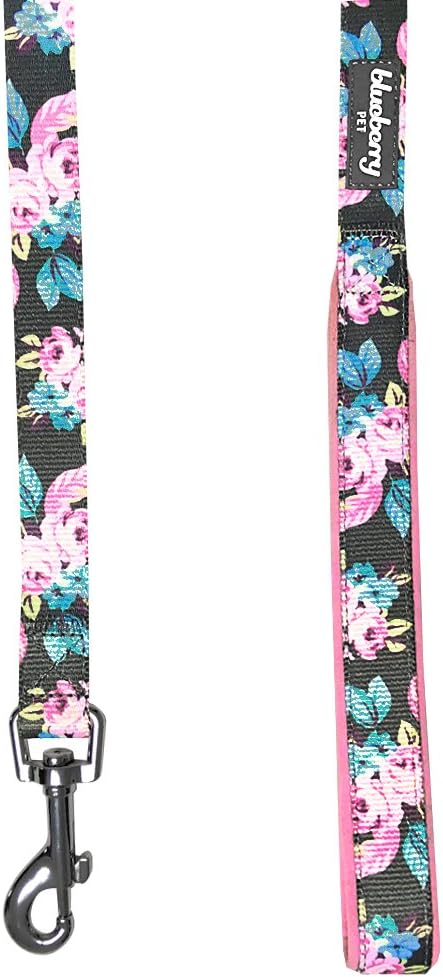 Blueberry Pet 7 Pattern Rose Flower Prints Girly Dog Leash with Soft & Comfortable Handle, 5 ft x 3/4", Medium, Leashes for Dogs