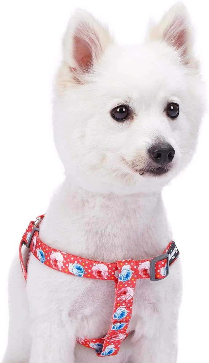 Blueberry Pet 9 Patterns Step-in Spring Scent Inspired Rose and Polka Dot Print Brink Pink Dog Harness, Chest Girth 20" - 26", Medium, Adjustable Harnesses for Dogs