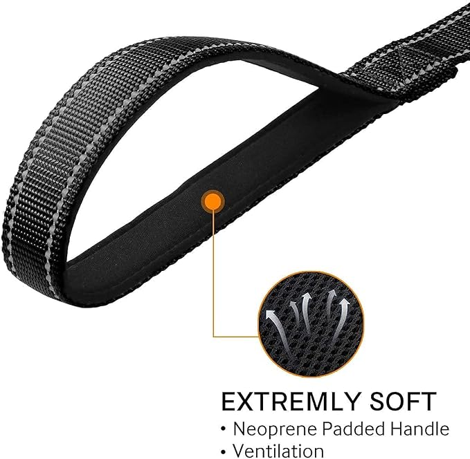 Joytale 12-16 inches Dog Collar and 6FT Leash, Reflective Soft Neoprene Padded Pet Collars and Leashes for Small Dog