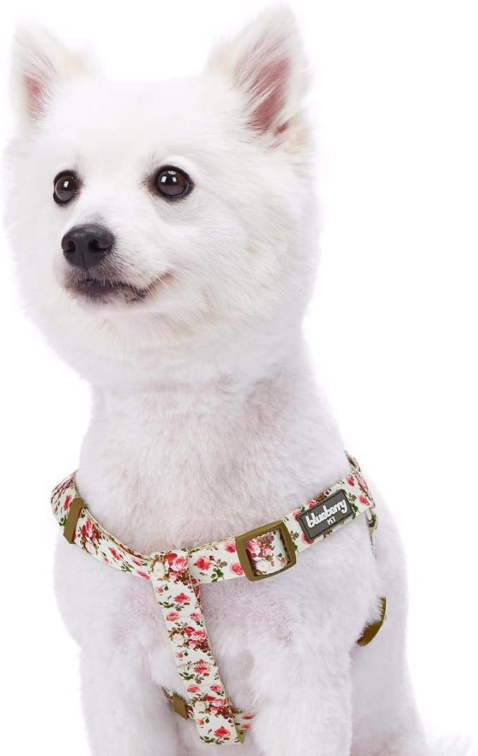 Blueberry Pet 9 Patterns Step-in Spring Scent Inspired Pink Rose Print Ivory Dog Harness, Chest Girth 16.5" - 21.5", Small, Adjustable Harnesses for Dogs