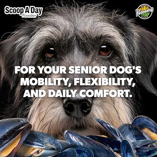 Scoop A Day for Senior Dogs | Daily Supplement Powder with Blue Mussel | Joint, Mobility & Vitality Support for Aging Dogs | Easy Meal Topper