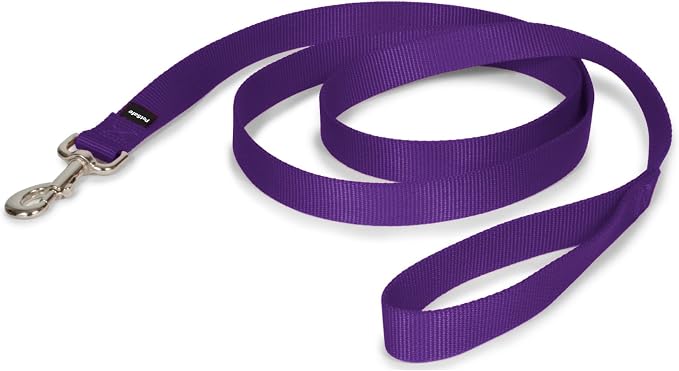 PetSafe Nylon Dog Leash - Strong, Durable, Traditional Style Leash with Easy to Use Bolt Snap - 1 in. x 6 ft., Deep Purple | Durable Nylon Leash with Easy on/off Bolt Snap Hook, Pairs Perfectly with Easy Walk Harness and Gentle Leader Headcollar