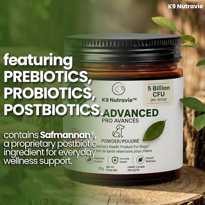 Dog Probiotic Powder for Digestive Support | 5 Billion CFU | Gut Health & Immunity Support | Mix-in Powder | 60g | Unflavoured (60g)