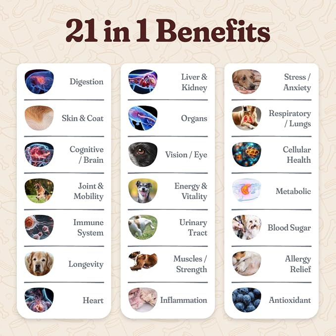 All-in-One Multivitamin Dog Food Topper, Longevity & Probiotics for Dogs | Supports Digestion, Skin & Coat, Joints, Immunity & Calm Behavior, Non-GMO, No Fillers, USA Made, For Dogs All Ages & Breeds