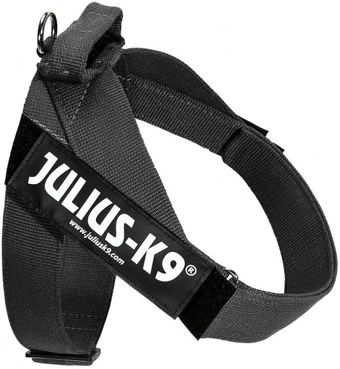 Julius-K9 IDC Color & Gray Belt Harness, Size: L/1, Black-Gray