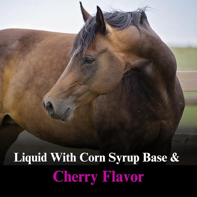 SU-PER Glucosamine C.S. Horse Joint Supplement - Supports Healthy Joints and Inflammatory Response in Horses - 1 Gallon, Liquid