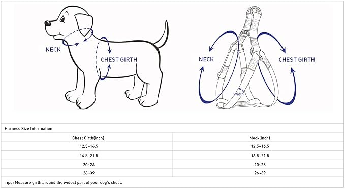 Blueberry Pet Essentials Step-in Reflective Back to Basics Dog Harness, Dark Olive, Chest Girth 26" - 39", Large, Adjustable Harnesses for Dogs