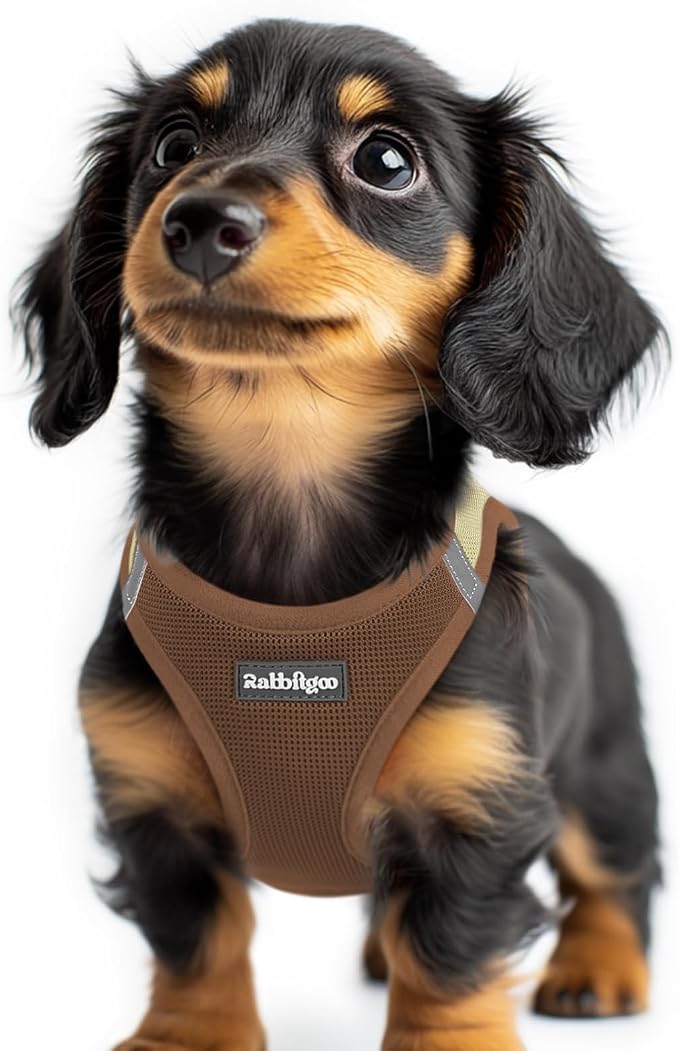 rabbitgoo Step-in Small Dog Harness, Puppy Vest for Small Sized Pet | Easy Put on and off, Lightweight, Soft, Breathable Quick-Dry Air Mesh for Comfortable Secure Walking, Brown & Beige XXS