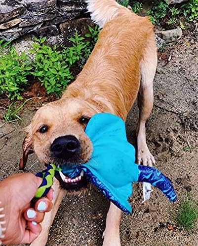 ZEUS K9 Fitness Dog Toys Hydro, Dog Toy for Water Or Pool Fetch, Alligator, Large