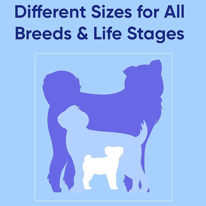 Pawtitas Solid 6 ft Black Dog Leash M/L Custom Name and Phone Embroidery Strong Nylon Leash for Medium and Large Breeds