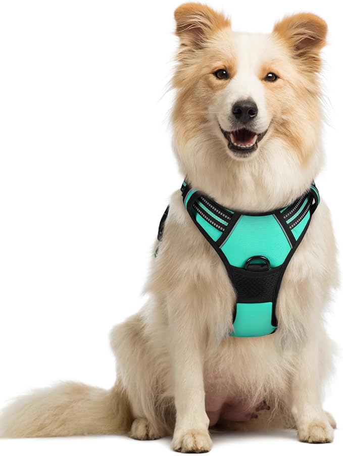 rabbitgoo Dog Harness, No Pull Medium Sized with 2 Leash Clips, Pet Vest | No Choke with Handle, Adjustable Soft Padded, Reflective, Easy Control for Walking, Turquoise, Medium