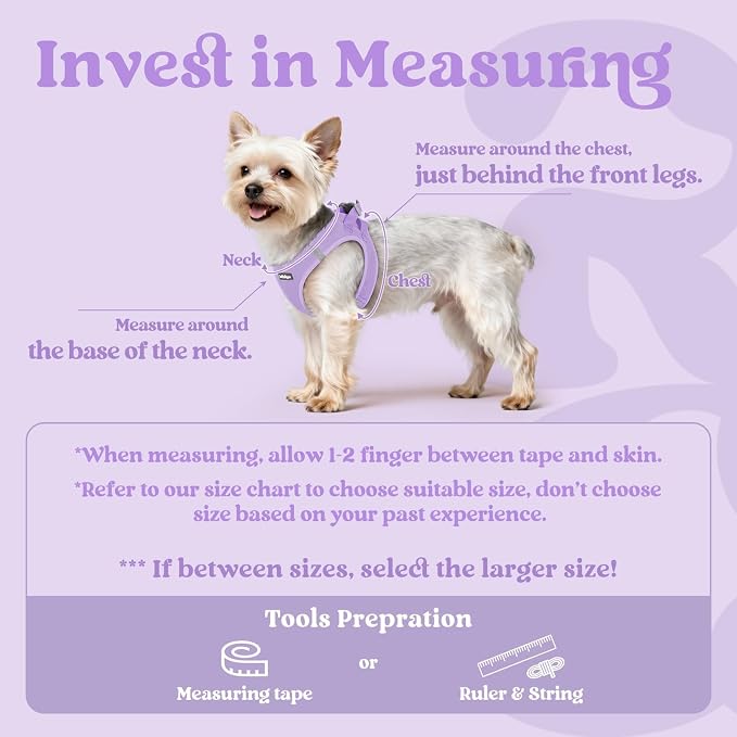 rabbitgoo Step-in Small Dog Harness, Puppy Vest for Small Sized Pet | Easy Put on and off, Lightweight, Soft, Breathable Quick-Dry Air Mesh for Comfortable Secure Walking, Light Purple XXS