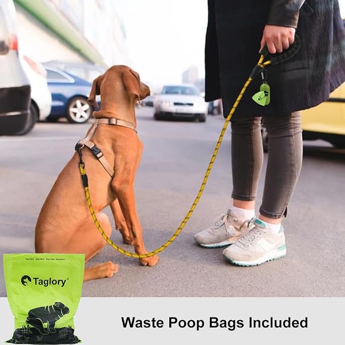 Taglory Rope Dog Leash for Small Medium Dogs, 4 FT Padded Handle, Yellow | Made of Climbing Rope, Reflective for Night Walks and Training, Comfortable Grip, Anti-tangle Swivel Clip, 3/8 inch