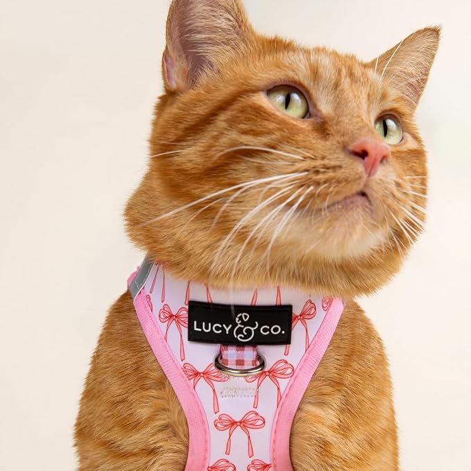 Lucy & Co. Take a Bow Step-in Cat Harness & Leash Bundle – Reflective, Breathable & Adjustable Harness for Cats, Kittens & Small Dogs, Lightweight & Secure and Dual Leash Clips – Medium