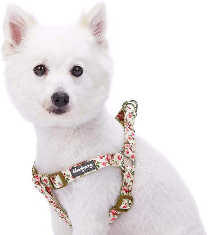 Blueberry Pet 9 Patterns Step-in Spring Scent Inspired Pink Rose Print Ivory Dog Harness, Chest Girth 26" - 39", Large, Adjustable Harnesses for Dogs
