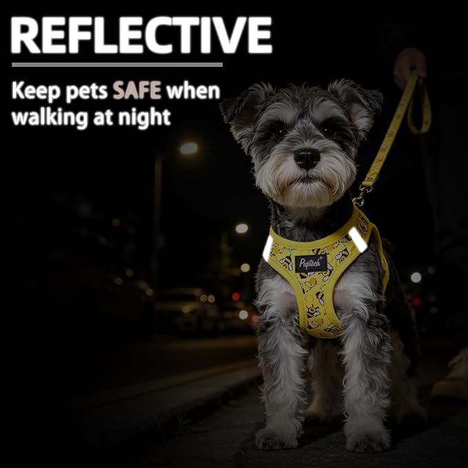PUPTECK Dog Harness and Leash Set for Small Medium Dogs No Pull Step-in Soft Mesh Puppy Cat Vest Harnesses Reflective at Night, Yellow Bee, S