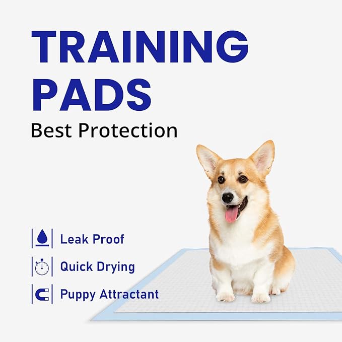 Disposable Puppy Pads 100 Count, 22"x22" Pee Pads for Dogs Potty Training, Odor Block Pet Pads,Super Absorbent Puppy Pads