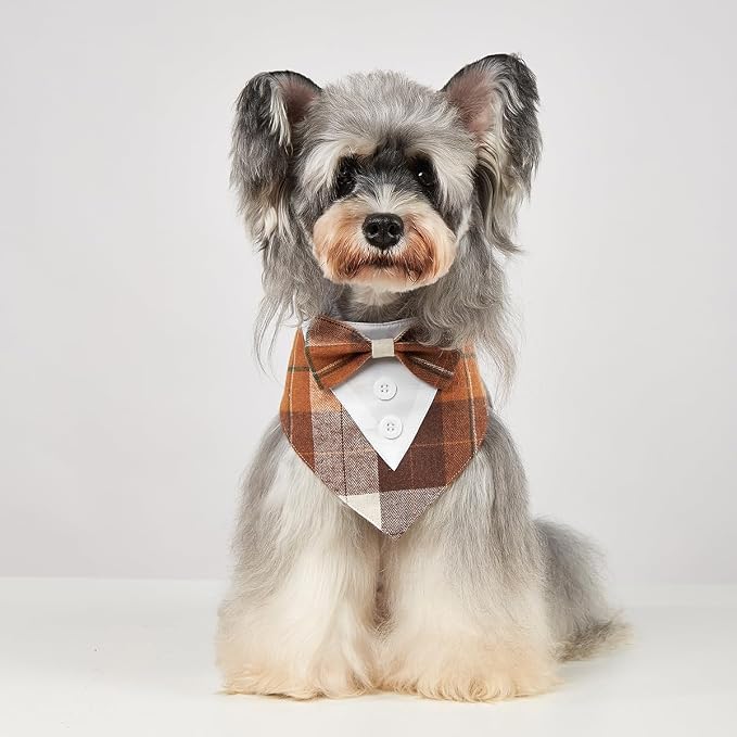 Fall Dog Tuxedo Bandana, Medium, Small, Orange