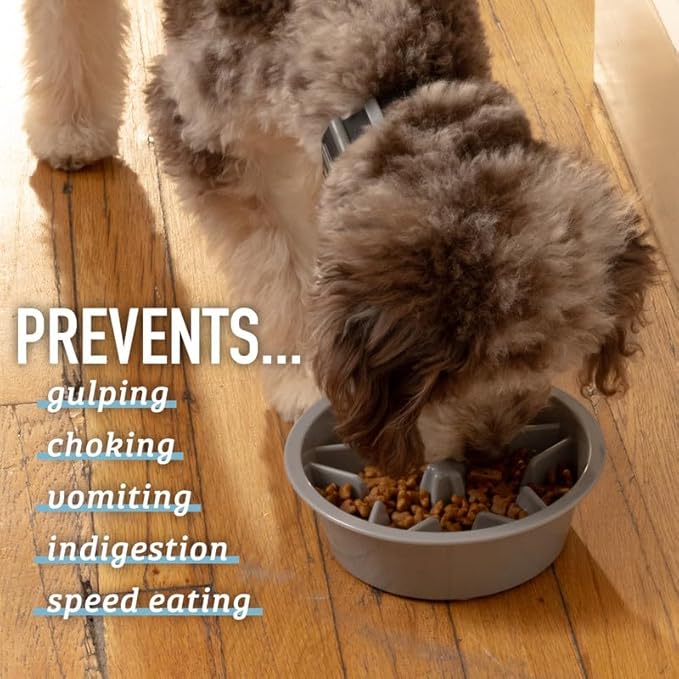 Leash Boss Slow Feeder Dog Bowls (2 Cup) Puzzle Dog Food Bowl - Fits into Elevated Pet Feeders - Slow Eating for Large, Medium & Small Sized Breeds - Gray