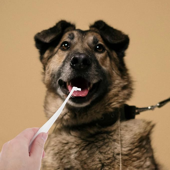 Pet Toothbrush Soft Bristle Dog Teeth Cleaner Reusable Portable Oral Care Tool for Cats and Small Dogs