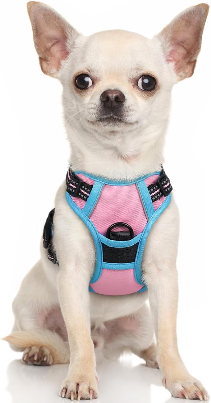 rabbitgoo Dog Harness, No Pull for Small Dogs with 2 Leash Clips, Pet Vest | No Choke with Handle, Adjustable Soft Padded, Reflective, Easy Control for Walking, Pink & Blue, X-Small