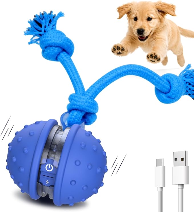 Interactive Dog Toys, Automatic Moving Dog Ball with Rope, Motion Activated, Squeaky, USB Rechargeable, Active Rolling Ball for Puppy