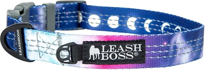 Leash Boss Patterned Reflective Dog Collar, Pattern Collection, Colorful Dog Collar with Triple Reflection Threads for Small, Medium and Large Dogs (Large 16.5"-25" Neck x 1" Wide, Space Pattern)