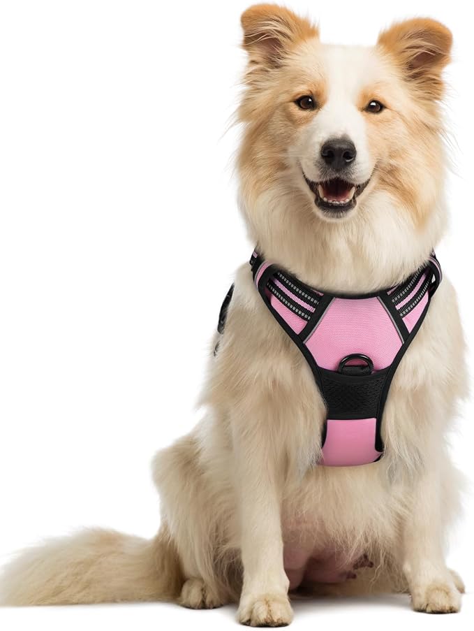 rabbitgoo Dog Harness, No Pull Medium Sized with 2 Leash Clips, Pet Vest | No Choke with Handle, Adjustable Soft Padded, Reflective, Easy Control for Walking, Pink, Medium