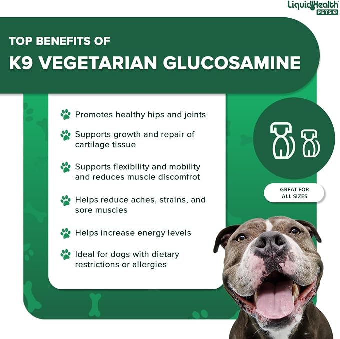 LIQUIDHEALTH Pets K9 Vegetarian Liquid Glucosamine Juice for All Dogs Canines with Chondroitin, MSM, Omega 3, Antioxidants, Hyaluronic Acid - Dog Vitamin Oil for Hip & Joint Health - USA Made (2 Pack)