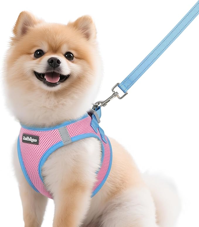rabbitgoo Dog Harness Small Sized and Leash Set, Step in Soft Vest | Breathable Mesh, Easy Wear with Hook & Loop, Light and Reflective for Walking, Multi-colored, Pink & Blue, M