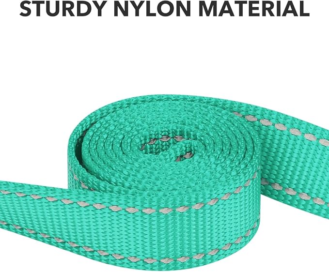 Taglory Reflective Dog Leash for Small Dogs, 3/4in x 4ft, Turquoise | Ideal for Night Walking, Strong for Sudden Pulls, Lightweight & Gentle on the Neck, Soft Padded Handle