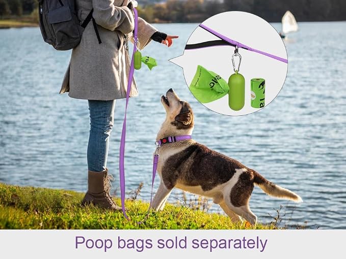 Taglory Reflective Dog Leash for Medium Large Dogs, 1in x 5ft, Purple | Ideal for Night Walking, Strong for Sudden Pulls, Lightweight & Gentle on the Neck, Soft Padded Handle