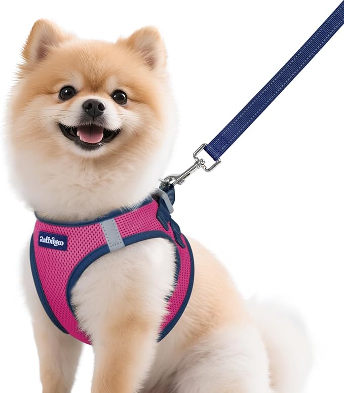 rabbitgoo Dog Harness Small Sized and Leash Set, Step in Soft Vest | Breathable Mesh, Easy Wear with Hook & Loop, Light and Reflective for Walking, Multi-colored, Rose Red & Navy Blue, M