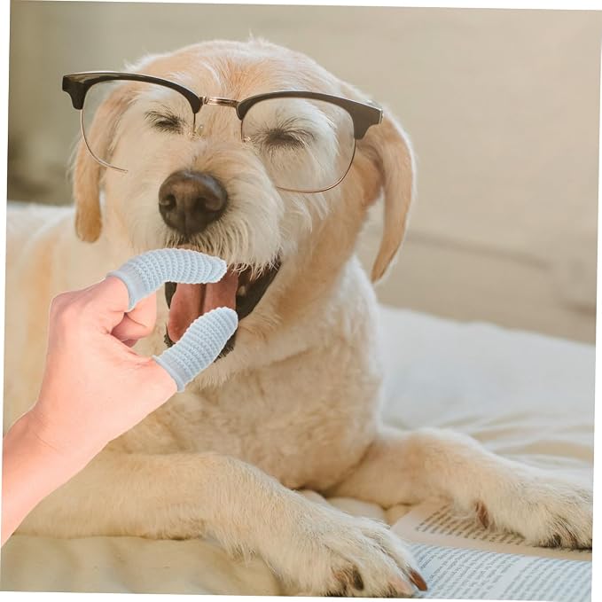 GALPADA 10pcs Finger Toothbrush for Dogs and Cats Easy Use Pet Care Tool for Small and Large Breeds Lightweight and Portable for Teeth Cleaning