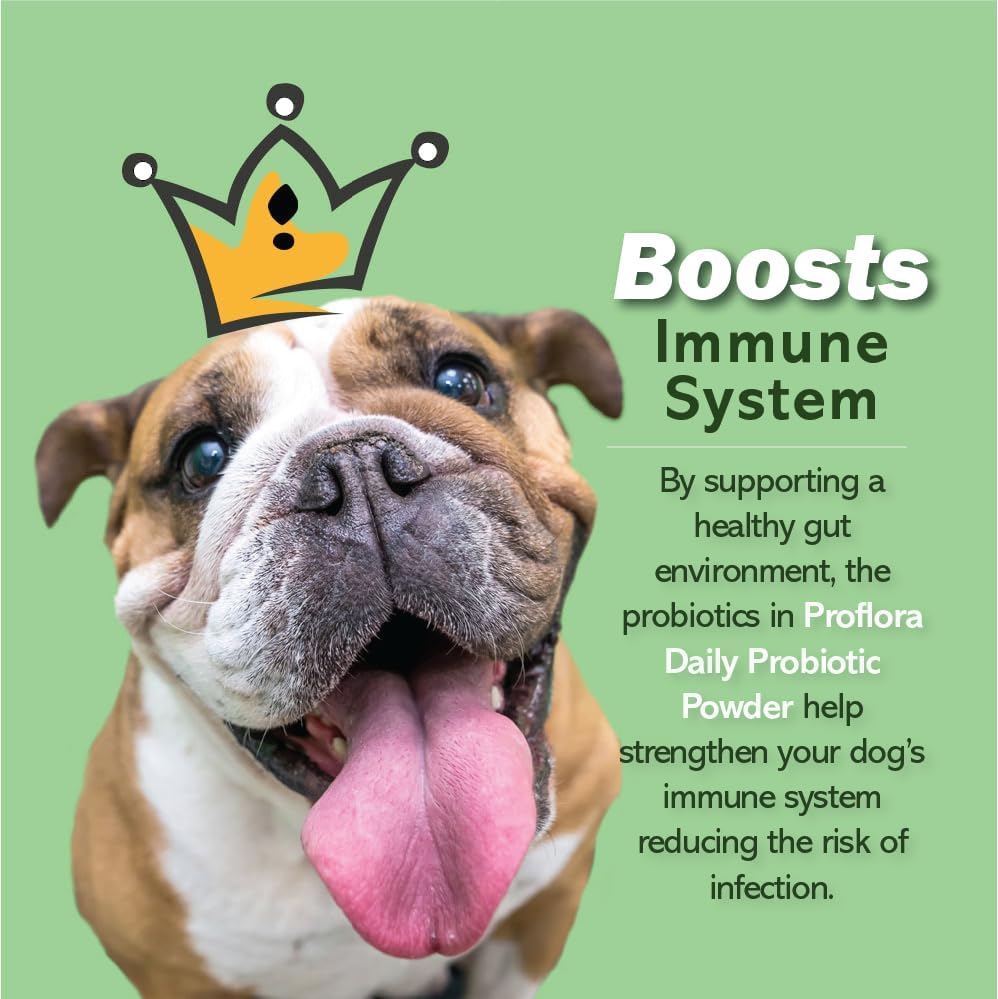 Probiotics and Prebiotics for Dogs – Daily Digestive Health Supplement, Supports Immune System, Gut Health, Healthy Digestion & Nutrient Absorption, 30 Powder Sachets.