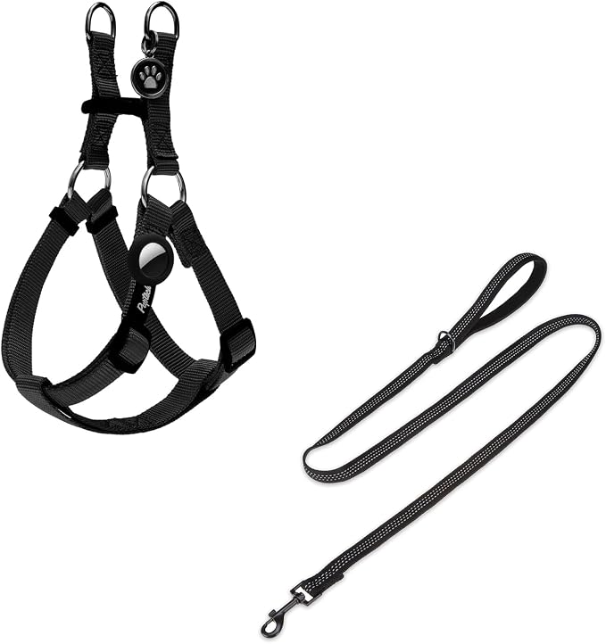PUPTECK Dog Harness and Leash Set