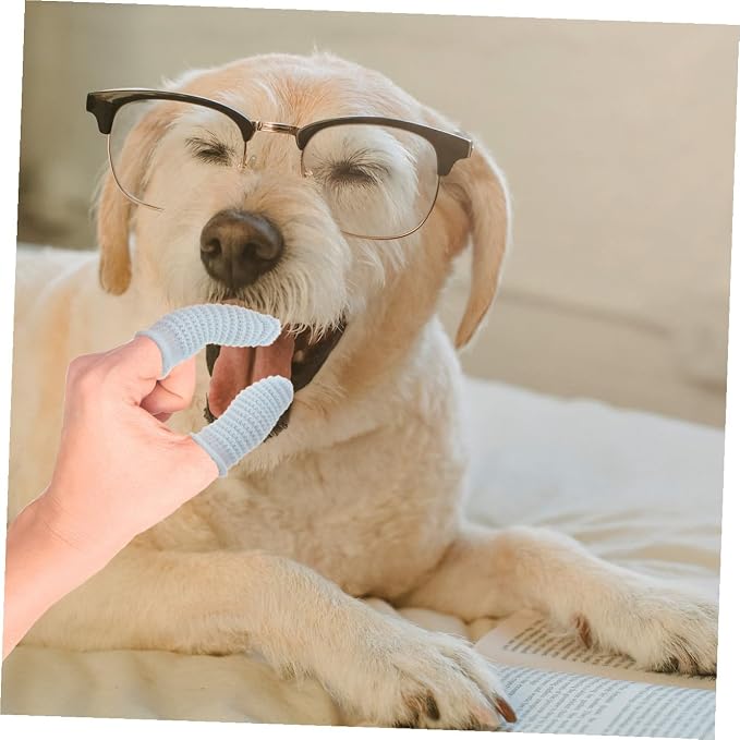 Kisangel 10 Pcs Dog Finger Toothbrush Set for Large Dogs Soft Silicone Pet Toothbrushes in Yellow and Light Blue Oral Cleaning for Puppy