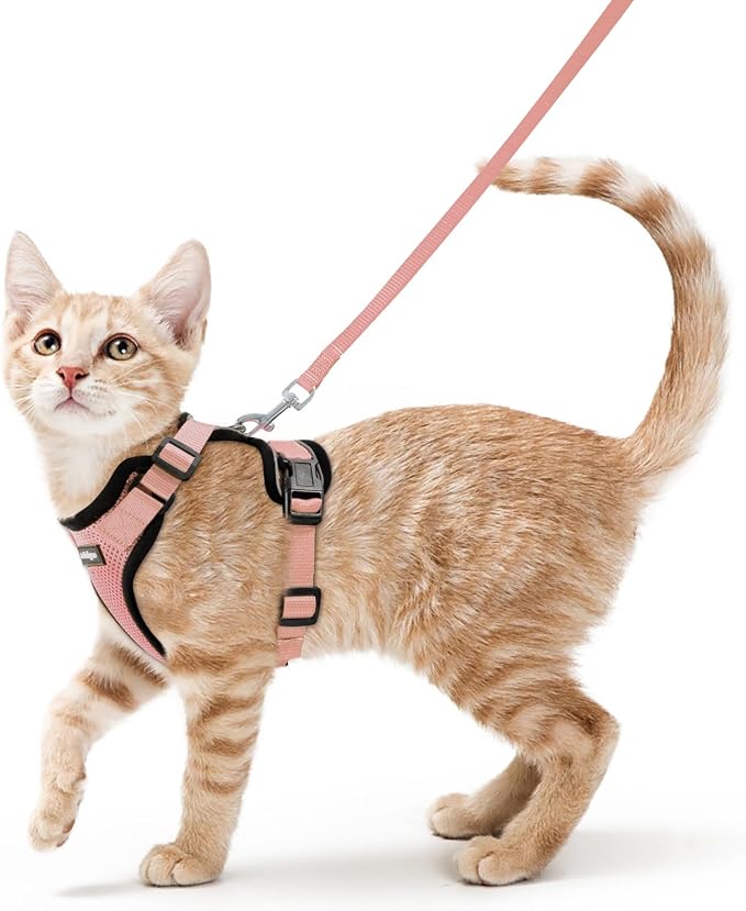 rabbitgoo Cat Harness and Leash Set, Escape Proof Vest, Light Salmon Pink | Soft Breathable Mesh, Easy Adjustable Fit, Snap Buckles, Sturdy Clip, Reflective Strips, for Small & Average Cats Walks, Xs