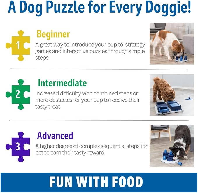 TRIXIE Vario Poker Box 2 Dog Activity Interactive Toy, Level 2 Food Puzzle Game, Brain Teasing Treat Dispenser, IQ and Mental Development Toy for Smart Dogs, Enrichment Toy for Boredom Busting