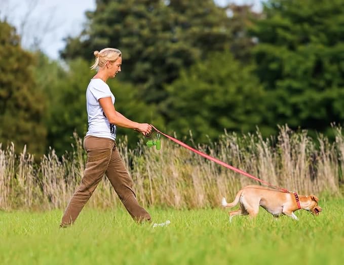 Taglory Reflective Dog Leash for Medium Large Dogs, 1in x 5ft, Pink | Ideal for Night Walking, Strong for Sudden Pulls, Lightweight & Gentle on the Neck, Soft Padded Handle