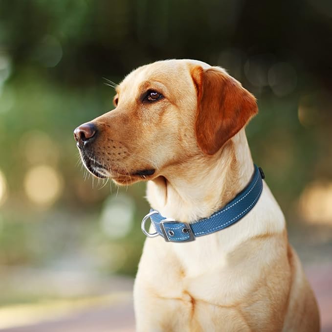 Fida Heavy Duty Dog Collar for Large Dogs with Metal Belt Buckle, Blue | Soft Neoprene Padded for Extra Comfort, Thicker Nylon Webbing, Adjustable Fit, Reflective Stitching for Night Safety