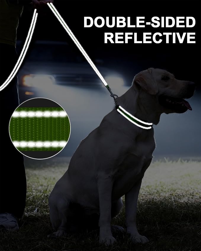 Taglory Reflective Dog Leash for Medium Large Dogs, 1in x 5ft, Neon Green | Ideal for Night Walking, Strong for Sudden Pulls, Lightweight & Gentle on the Neck, Soft Padded Handle