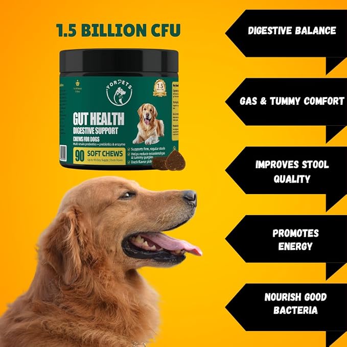 Dog Probiotic Soft Chews – Gut Health & Digestive Support with 1.5 Billion CFU Probiotics, Prebiotics & Enzymes – Helps Improve Stool Quality – All Breeds