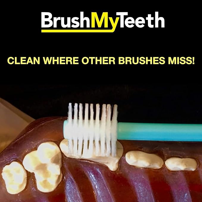 Brush My Teeth Small Dog Toothbrush, Rounded Brush Head -Soft Flexible Bristles, Safe and Gentle Brushing for Small Dogs, Small Breeds and Puppy, Daily Brushing Adds Years of Healthy Life, Multicolor