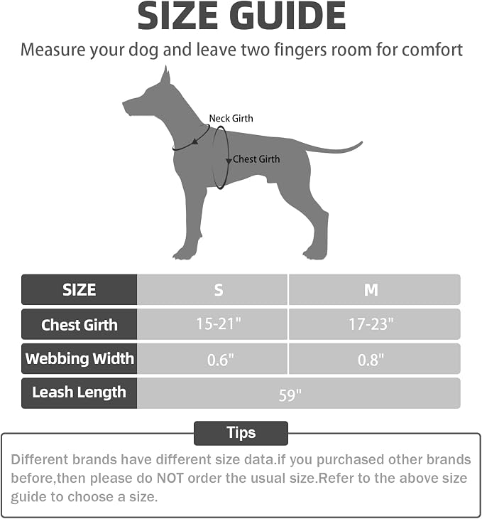 PUPTECK No Pull Dog Harness Small Sized Step-in Adjustable Puppy Vest | Soft Webbing Basic Halter with Leash for Outdoor Walking